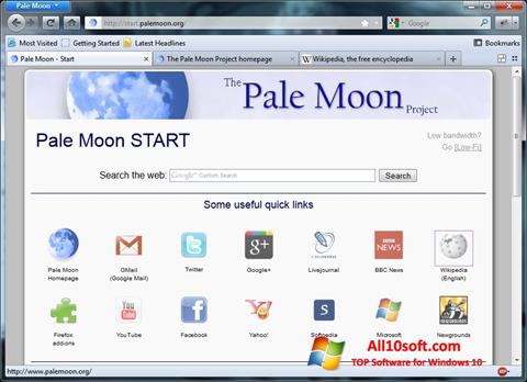 Screenshot Pale Moon für Windows 10