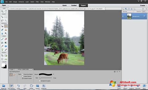 Screenshot Photoshop Elements für Windows 10
