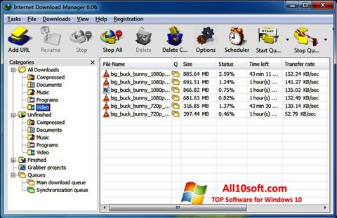 Screenshot Internet Download Manager für Windows 10