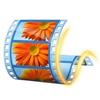 Windows Live Movie Maker für Windows 10