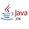 Java SE Development Kit für Windows 10