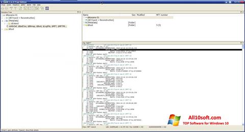Screenshot DMDE für Windows 10